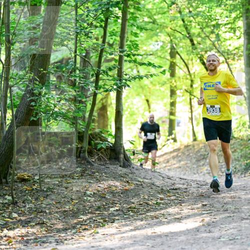 28.09.2025 - 33. Volkslauf durch das schöne Alstertal Dr. Thomas Lammeyer http://msf.ph/oto/8960363 28.09.2025 11:02:18 Laufen 3938 meine-sportfotos.de