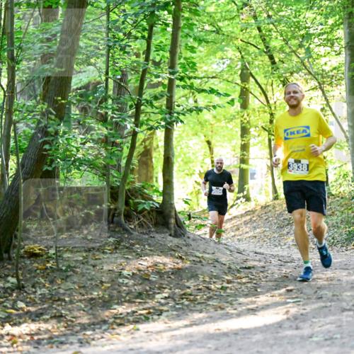 28.09.2025 - 33. Volkslauf durch das schöne Alstertal Dr. Thomas Lammeyer http://msf.ph/oto/8960365 28.09.2025 11:02:18 Laufen 3094, 3938 meine-sportfotos.de