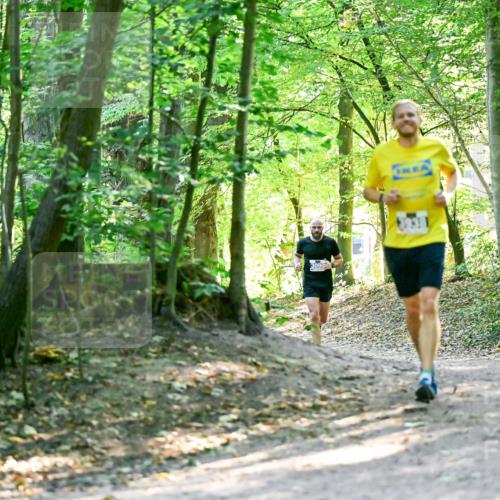 28.09.2025 - 33. Volkslauf durch das schöne Alstertal Dr. Thomas Lammeyer http://msf.ph/oto/8960366 28.09.2025 11:02:18 Laufen 309 meine-sportfotos.de