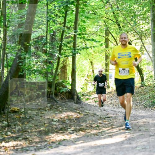 28.09.2025 - 33. Volkslauf durch das schöne Alstertal Dr. Thomas Lammeyer http://msf.ph/oto/8960367 28.09.2025 11:02:18 Laufen 3094 meine-sportfotos.de