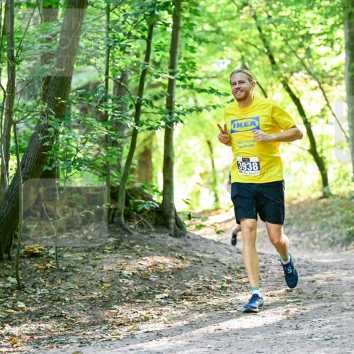 28.09.2025 - 33. Volkslauf durch das schöne Alstertal Dr. Thomas Lammeyer http://msf.ph/oto/8960369 28.09.2025 11:02:18 Laufen 3938 meine-sportfotos.de