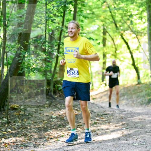 28.09.2025 - 33. Volkslauf durch das schöne Alstertal Dr. Thomas Lammeyer http://msf.ph/oto/8960374 28.09.2025 11:02:19 Laufen 3938 meine-sportfotos.de