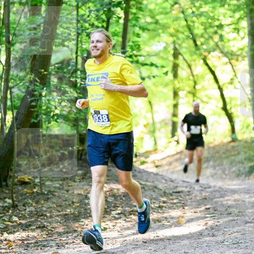 28.09.2025 - 33. Volkslauf durch das schöne Alstertal Dr. Thomas Lammeyer http://msf.ph/oto/8960375 28.09.2025 11:02:19 Laufen 3938 meine-sportfotos.de