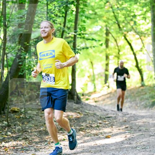 28.09.2025 - 33. Volkslauf durch das schöne Alstertal Dr. Thomas Lammeyer http://msf.ph/oto/8960376 28.09.2025 11:02:19 Laufen 3938 meine-sportfotos.de