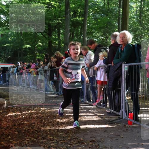 28.09.2025 - 33. Volkslauf durch das schöne Alstertal Strokosch-Dieckow http://msf.ph/oto/8960378 28.09.2025 10:48:49 Ziel 5036 meine-sportfotos.de