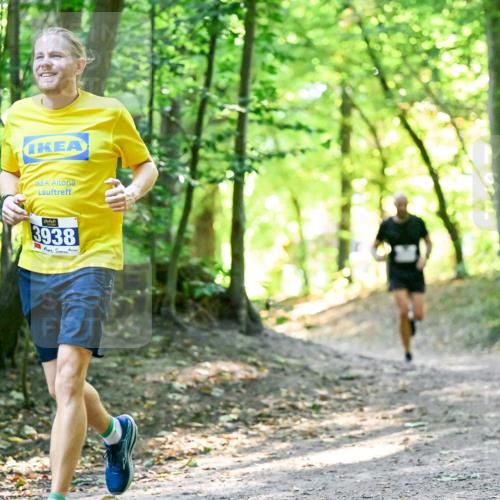28.09.2025 - 33. Volkslauf durch das schöne Alstertal Dr. Thomas Lammeyer http://msf.ph/oto/8960379 28.09.2025 11:02:19 Laufen 3938 meine-sportfotos.de
