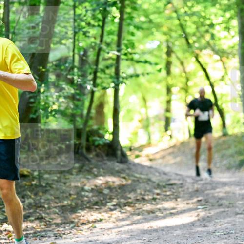 28.09.2025 - 33. Volkslauf durch das schöne Alstertal Dr. Thomas Lammeyer http://msf.ph/oto/8960380 28.09.2025 11:02:20 Laufen 3938 meine-sportfotos.de