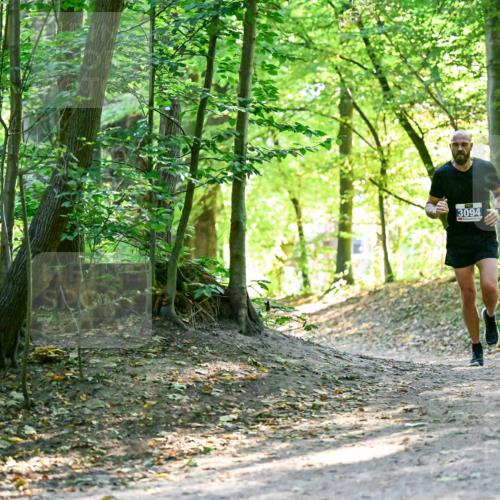 28.09.2025 - 33. Volkslauf durch das schöne Alstertal Dr. Thomas Lammeyer http://msf.ph/oto/8960381 28.09.2025 11:02:21 Laufen 3094 meine-sportfotos.de