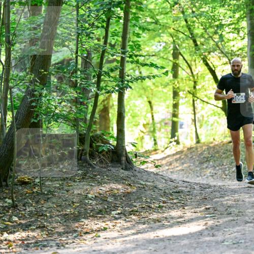 28.09.2025 - 33. Volkslauf durch das schöne Alstertal Dr. Thomas Lammeyer http://msf.ph/oto/8960382 28.09.2025 11:02:21 Laufen 3094 meine-sportfotos.de