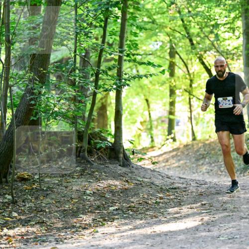 28.09.2025 - 33. Volkslauf durch das schöne Alstertal Dr. Thomas Lammeyer http://msf.ph/oto/8960385 28.09.2025 11:02:22 Laufen 3094 meine-sportfotos.de