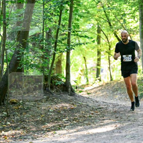 28.09.2025 - 33. Volkslauf durch das schöne Alstertal Dr. Thomas Lammeyer http://msf.ph/oto/8960386 28.09.2025 11:02:22 Laufen 3094 meine-sportfotos.de