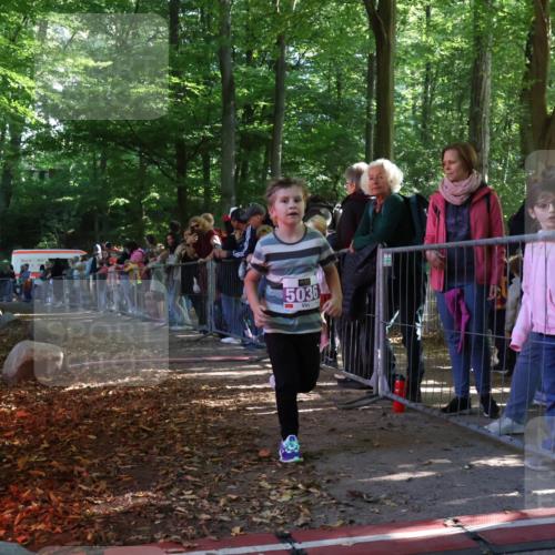 28.09.2025 - 33. Volkslauf durch das schöne Alstertal Strokosch-Dieckow http://msf.ph/oto/8960387 28.09.2025 10:48:50 Ziel 5036 meine-sportfotos.de
