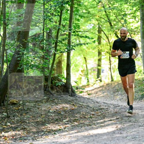 28.09.2025 - 33. Volkslauf durch das schöne Alstertal Dr. Thomas Lammeyer http://msf.ph/oto/8960388 28.09.2025 11:02:22 Laufen 3094 meine-sportfotos.de