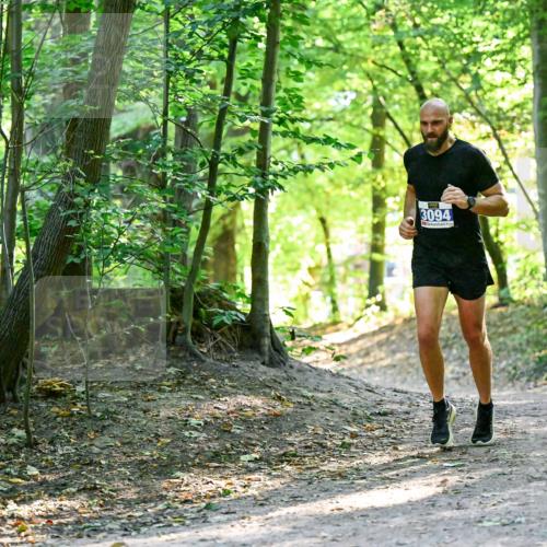28.09.2025 - 33. Volkslauf durch das schöne Alstertal Dr. Thomas Lammeyer http://msf.ph/oto/8960390 28.09.2025 11:02:22 Laufen 3094 meine-sportfotos.de