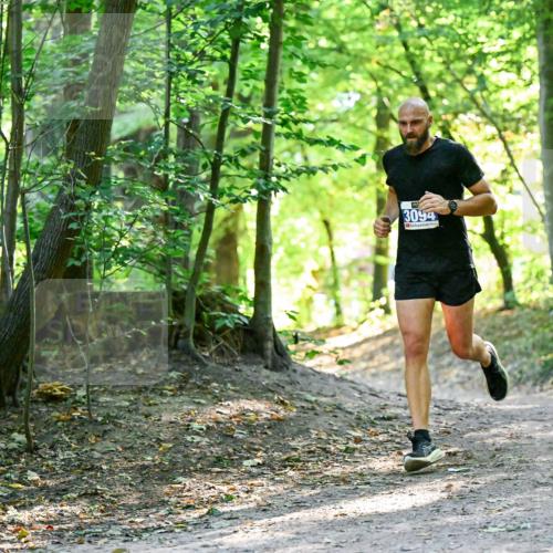 28.09.2025 - 33. Volkslauf durch das schöne Alstertal Dr. Thomas Lammeyer http://msf.ph/oto/8960391 28.09.2025 11:02:22 Laufen 3094 meine-sportfotos.de