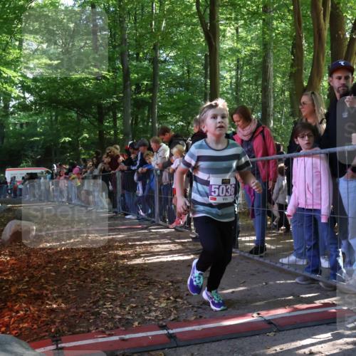 28.09.2025 - 33. Volkslauf durch das schöne Alstertal Strokosch-Dieckow http://msf.ph/oto/8960393 28.09.2025 10:48:50 Ziel 5036 meine-sportfotos.de