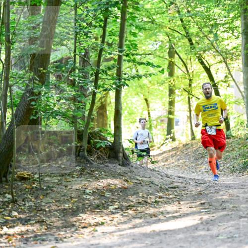 28.09.2025 - 33. Volkslauf durch das schöne Alstertal Dr. Thomas Lammeyer http://msf.ph/oto/8960394 28.09.2025 11:02:36 Laufen 3906 meine-sportfotos.de