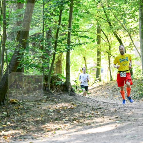28.09.2025 - 33. Volkslauf durch das schöne Alstertal Dr. Thomas Lammeyer http://msf.ph/oto/8960395 28.09.2025 11:02:36 Laufen 3906, 317910 meine-sportfotos.de