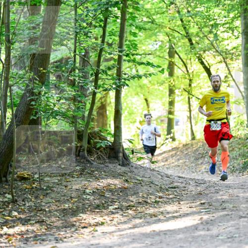 28.09.2025 - 33. Volkslauf durch das schöne Alstertal Dr. Thomas Lammeyer http://msf.ph/oto/8960396 28.09.2025 11:02:36 Laufen 11170, 3906 meine-sportfotos.de