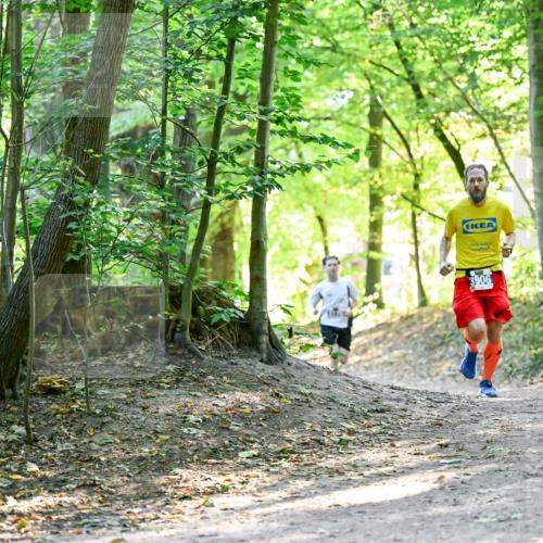 28.09.2025 - 33. Volkslauf durch das schöne Alstertal Dr. Thomas Lammeyer http://msf.ph/oto/8960397 28.09.2025 11:02:36 Laufen 2, 3906 meine-sportfotos.de