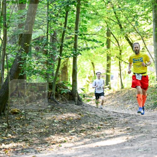 28.09.2025 - 33. Volkslauf durch das schöne Alstertal Dr. Thomas Lammeyer http://msf.ph/oto/8960398 28.09.2025 11:02:37 Laufen 906 meine-sportfotos.de