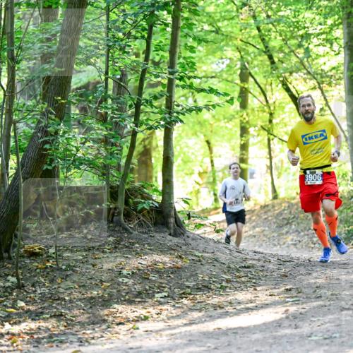 28.09.2025 - 33. Volkslauf durch das schöne Alstertal Dr. Thomas Lammeyer http://msf.ph/oto/8960401 28.09.2025 11:02:37 Laufen 3906 meine-sportfotos.de