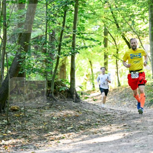 28.09.2025 - 33. Volkslauf durch das schöne Alstertal Dr. Thomas Lammeyer http://msf.ph/oto/8960402 28.09.2025 11:02:37 Laufen 3906, 25 meine-sportfotos.de