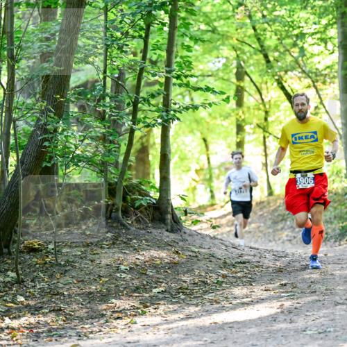 28.09.2025 - 33. Volkslauf durch das schöne Alstertal Dr. Thomas Lammeyer http://msf.ph/oto/8960404 28.09.2025 11:02:37 Laufen 3906, 25 meine-sportfotos.de