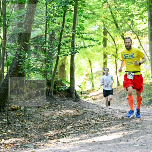 28.09.2025 - 33. Volkslauf durch das schöne Alstertal Dr. Thomas Lammeyer http://msf.ph/oto/8960405 28.09.2025 11:02:37 Laufen 906 meine-sportfotos.de