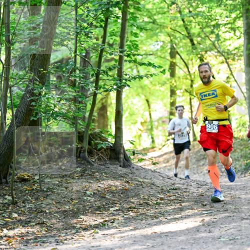 28.09.2025 - 33. Volkslauf durch das schöne Alstertal Dr. Thomas Lammeyer http://msf.ph/oto/8960406 28.09.2025 11:02:37 Laufen 906, 25 meine-sportfotos.de