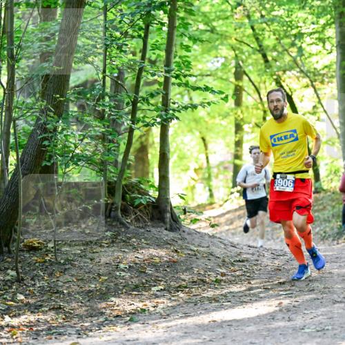 28.09.2025 - 33. Volkslauf durch das schöne Alstertal Dr. Thomas Lammeyer http://msf.ph/oto/8960407 28.09.2025 11:02:37 Laufen 3906 meine-sportfotos.de