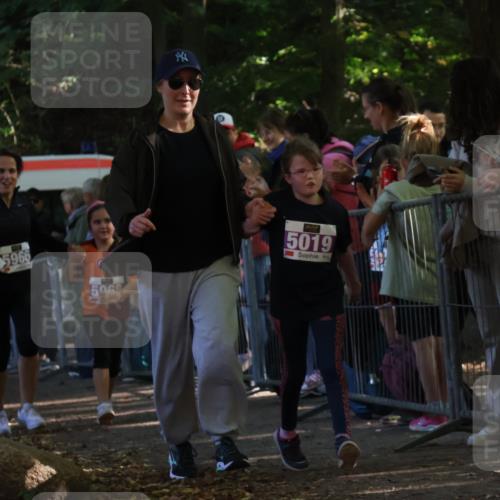 28.09.2025 - 33. Volkslauf durch das schöne Alstertal Strokosch-Dieckow http://msf.ph/oto/8960408 28.09.2025 10:49:01 Ziel 5019, 5966, 5968 meine-sportfotos.de