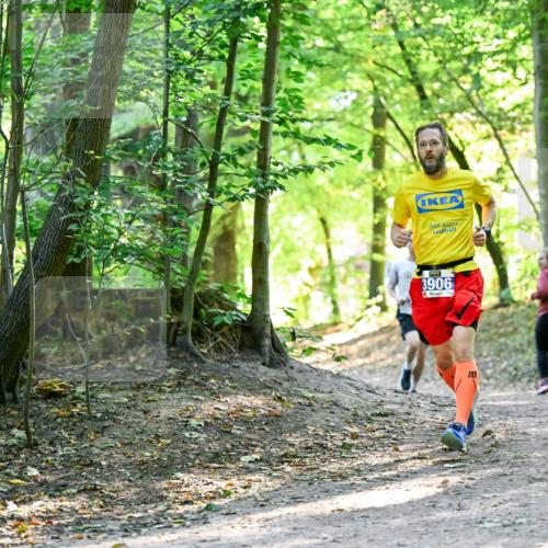 28.09.2025 - 33. Volkslauf durch das schöne Alstertal Dr. Thomas Lammeyer http://msf.ph/oto/8960409 28.09.2025 11:02:38 Laufen 3906 meine-sportfotos.de