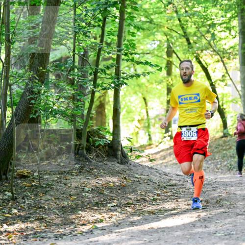 28.09.2025 - 33. Volkslauf durch das schöne Alstertal Dr. Thomas Lammeyer http://msf.ph/oto/8960410 28.09.2025 11:02:38 Laufen 3906 meine-sportfotos.de
