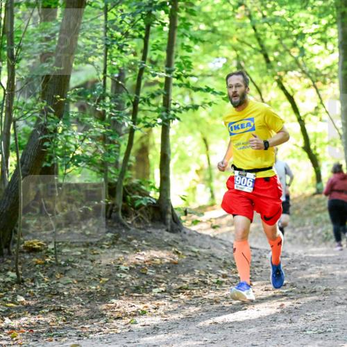 28.09.2025 - 33. Volkslauf durch das schöne Alstertal Dr. Thomas Lammeyer http://msf.ph/oto/8960411 28.09.2025 11:02:38 Laufen 1906 meine-sportfotos.de