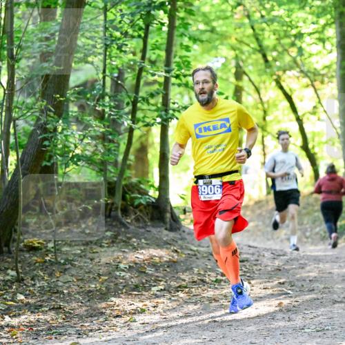 28.09.2025 - 33. Volkslauf durch das schöne Alstertal Dr. Thomas Lammeyer http://msf.ph/oto/8960414 28.09.2025 11:02:38 Laufen 3906 meine-sportfotos.de