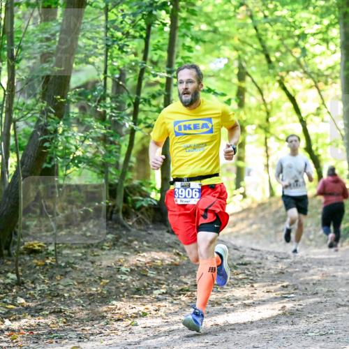 28.09.2025 - 33. Volkslauf durch das schöne Alstertal Dr. Thomas Lammeyer http://msf.ph/oto/8960415 28.09.2025 11:02:38 Laufen 3906 meine-sportfotos.de
