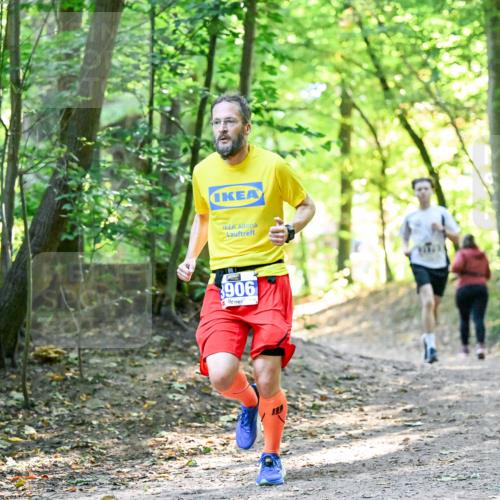 28.09.2025 - 33. Volkslauf durch das schöne Alstertal Dr. Thomas Lammeyer http://msf.ph/oto/8960417 28.09.2025 11:02:38 Laufen 906 meine-sportfotos.de