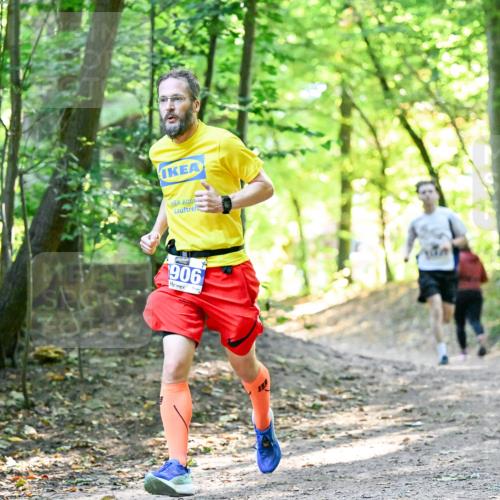 28.09.2025 - 33. Volkslauf durch das schöne Alstertal Dr. Thomas Lammeyer http://msf.ph/oto/8960418 28.09.2025 11:02:39 Laufen 906 meine-sportfotos.de
