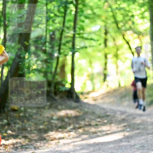 28.09.2025 - 33. Volkslauf durch das schöne Alstertal Dr. Thomas Lammeyer http://msf.ph/oto/8960419 28.09.2025 11:02:39 Laufen 906 meine-sportfotos.de