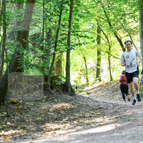 28.09.2025 - 33. Volkslauf durch das schöne Alstertal Dr. Thomas Lammeyer http://msf.ph/oto/8960420 28.09.2025 11:02:40 Laufen 3179, 25 meine-sportfotos.de