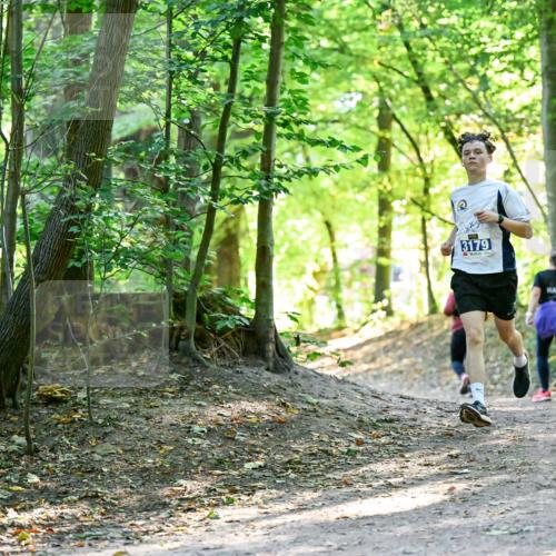 28.09.2025 - 33. Volkslauf durch das schöne Alstertal Dr. Thomas Lammeyer http://msf.ph/oto/8960423 28.09.2025 11:02:40 Laufen 3179 meine-sportfotos.de