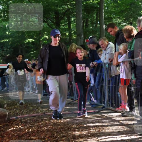 28.09.2025 - 33. Volkslauf durch das schöne Alstertal Strokosch-Dieckow http://msf.ph/oto/8960426 28.09.2025 10:49:03 Ziel 5019, 5966, 5968 meine-sportfotos.de