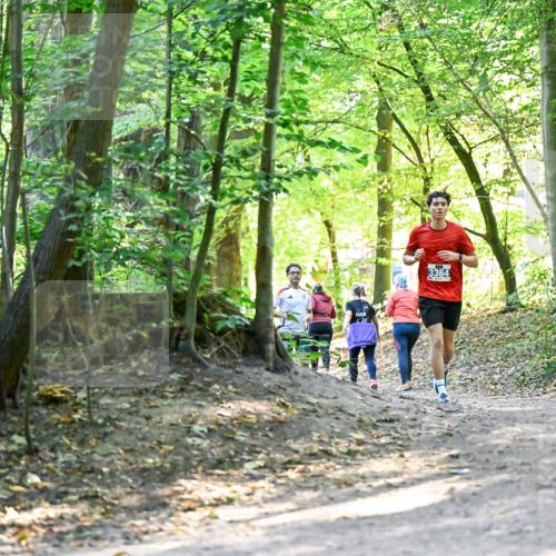 28.09.2025 - 33. Volkslauf durch das schöne Alstertal Dr. Thomas Lammeyer http://msf.ph/oto/8960429 28.09.2025 11:02:45 Laufen 3364 meine-sportfotos.de