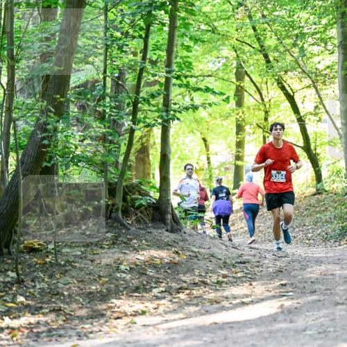 28.09.2025 - 33. Volkslauf durch das schöne Alstertal Dr. Thomas Lammeyer http://msf.ph/oto/8960430 28.09.2025 11:02:46 Laufen 3364 meine-sportfotos.de