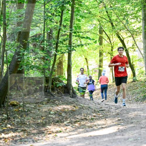 28.09.2025 - 33. Volkslauf durch das schöne Alstertal Dr. Thomas Lammeyer http://msf.ph/oto/8960431 28.09.2025 11:02:46 Laufen 3364 meine-sportfotos.de