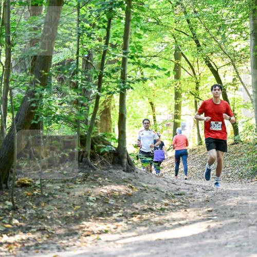 28.09.2025 - 33. Volkslauf durch das schöne Alstertal Dr. Thomas Lammeyer http://msf.ph/oto/8960433 28.09.2025 11:02:46 Laufen 3364 meine-sportfotos.de