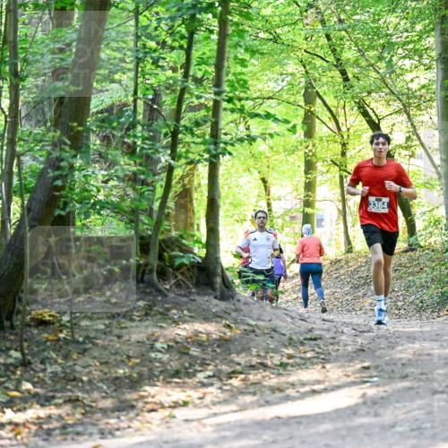 28.09.2025 - 33. Volkslauf durch das schöne Alstertal Dr. Thomas Lammeyer http://msf.ph/oto/8960434 28.09.2025 11:02:46 Laufen 3364 meine-sportfotos.de