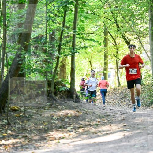 28.09.2025 - 33. Volkslauf durch das schöne Alstertal Dr. Thomas Lammeyer http://msf.ph/oto/8960436 28.09.2025 11:02:46 Laufen 3364 meine-sportfotos.de