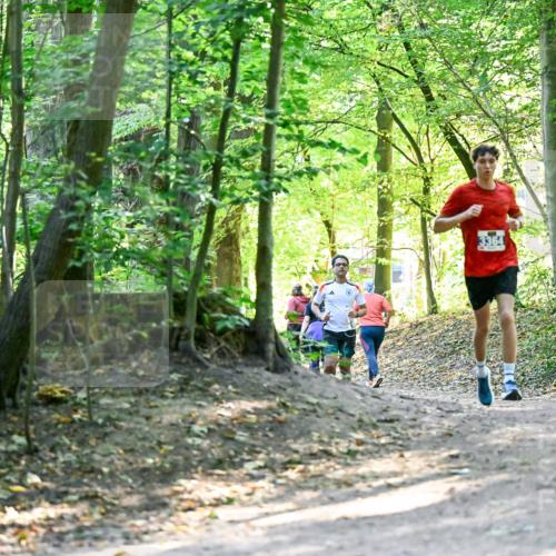 28.09.2025 - 33. Volkslauf durch das schöne Alstertal Dr. Thomas Lammeyer http://msf.ph/oto/8960437 28.09.2025 11:02:46 Laufen 3364 meine-sportfotos.de